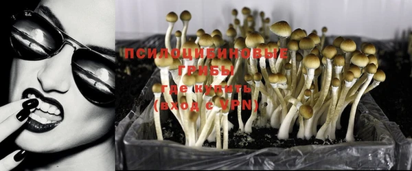 МДМА Арсеньев